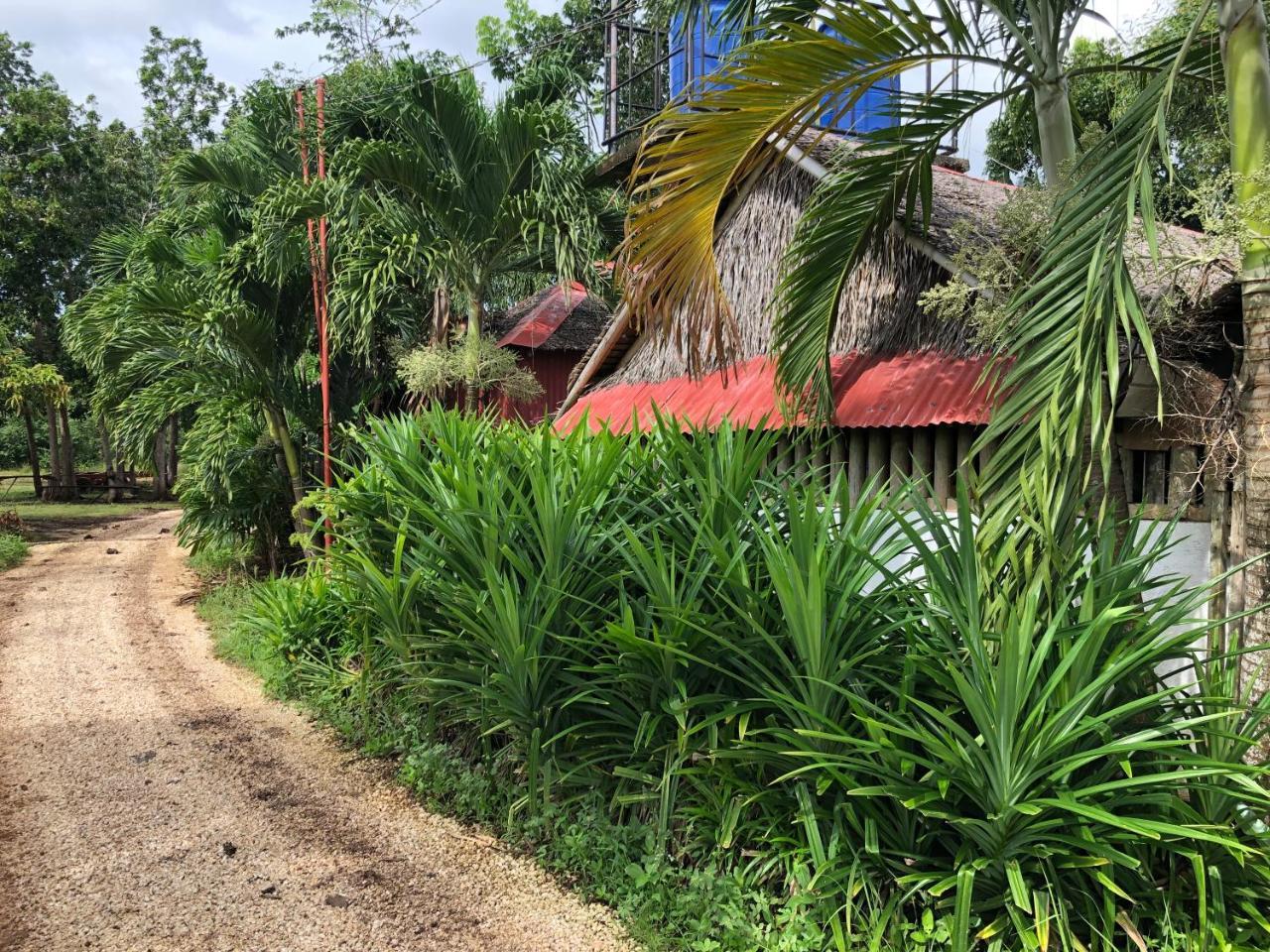 House @Bohol Garden Homes Panglao City Exterior foto